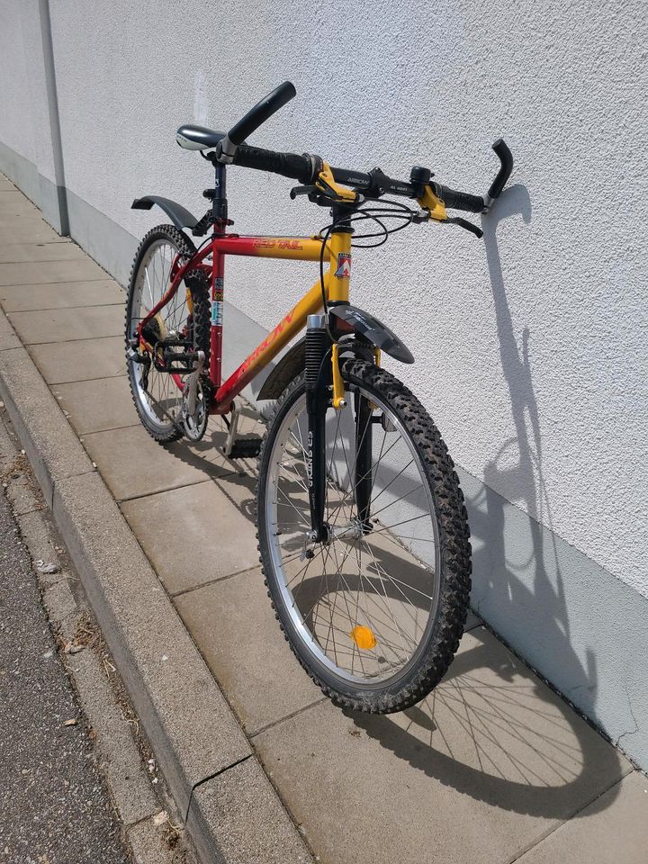 Herren Fahrrad 26 Zoll in Lörrach