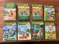 Das magische Baumhaus Kinder Bücher, neuwertig Nordrhein-Westfalen - Hövelhof Vorschau