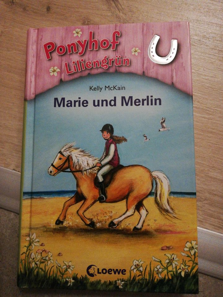 Kinderbücher Ponyhof Liliengrün in Schloß Holte-Stukenbrock