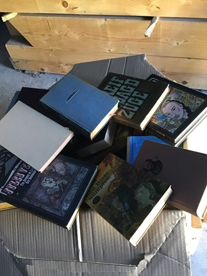 Bücher von Jules Verne, Friedrich Gerstäcker, Nelson Algren in Göda