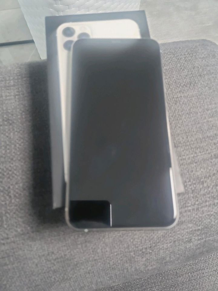 Iphone 11 Pro Max/ 64gb Silver inkl. Ovp in Wutöschingen