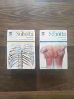 Sobotta Lernkarten Muskeln / Knochen, Bänder und Gelenke Eimsbüttel - Hamburg Lokstedt Vorschau
