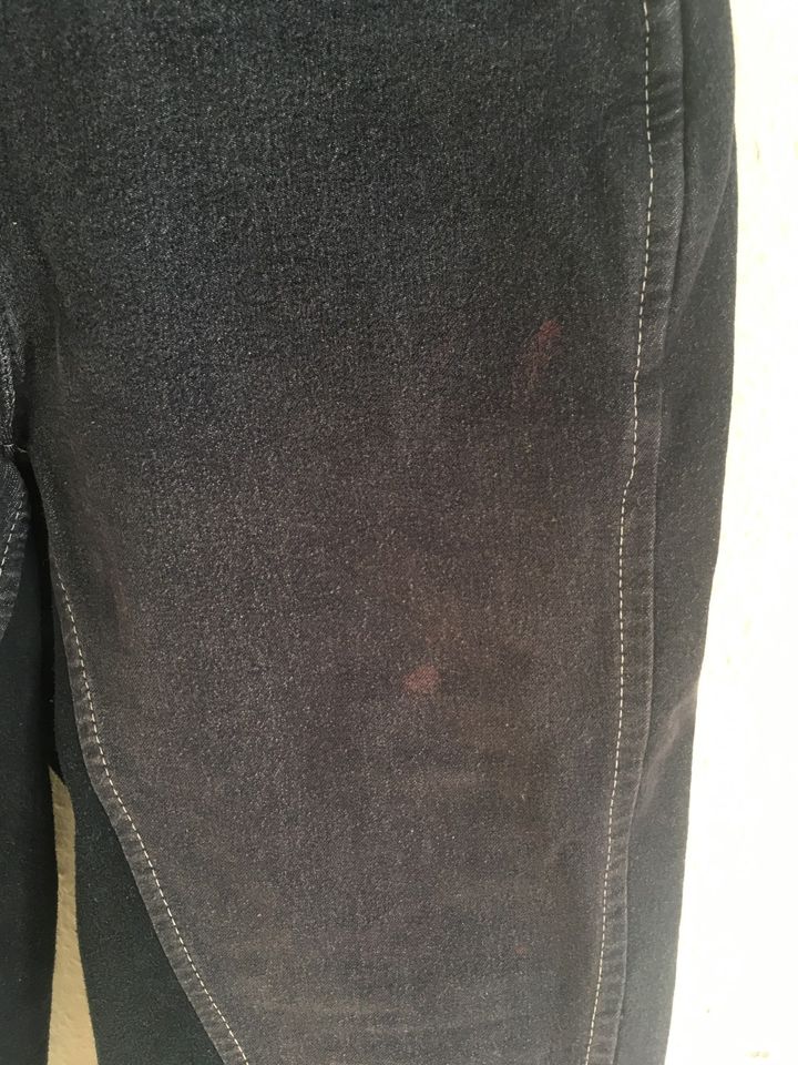 Pfiff Reithose jeansfarben Vollkunstlederbesatz Gr. 34 bis 36 in Bad Iburg