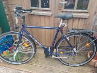 Herrenfahrrad 28 Zoll Marke Gudereit Schleswig-Holstein - Norderstedt Vorschau