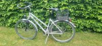 City Fahrrad 28" Pegasus Milano GT 24 Gang Hessen - Hochheim am Main Vorschau