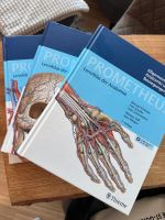 Prometheus Anatomie Atlas Medizin Bayern - Regensburg Vorschau