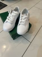 Neu Lacoste Schuhe Nordrhein-Westfalen - Gelsenkirchen Vorschau