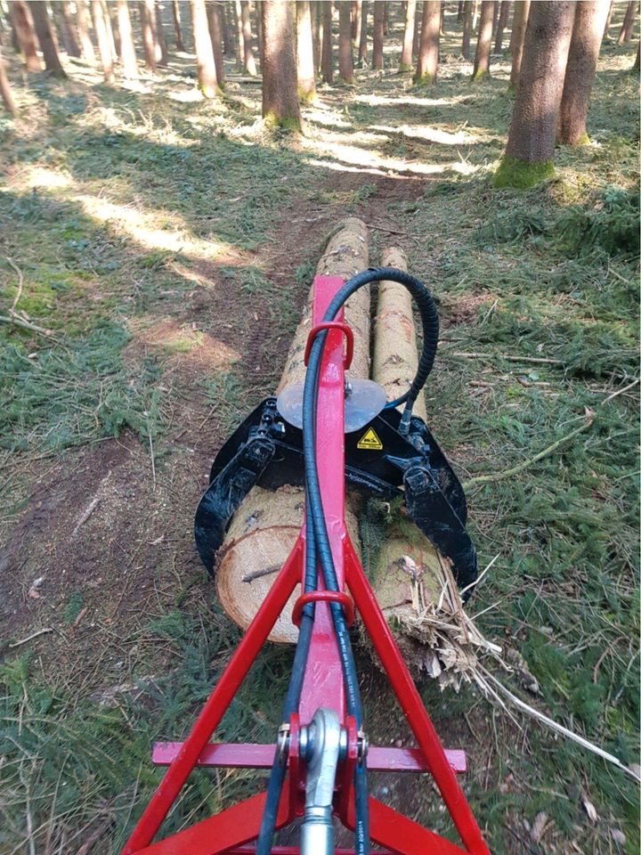 ❗Baumfällung,Hecke/Problem/Baum fällen / entfernen,Sturmschaden in Bruckberg bei Landshut