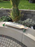 Street Surfing Longboard Nordrhein-Westfalen - Hilchenbach Vorschau