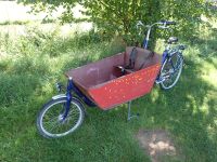 Bakfiets Cargobike Long Kistenrad Transportrad bakfiets.nl Hessen - Erzhausen Vorschau