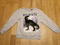 Pullover Kinder Dinosaurier Größe 122 128 H&M neuwertig München - Trudering-Riem Vorschau