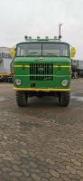 Biete IFA W50 Allrad Sperren Getreideaufbau Niedersachsen - Salzgitter Vorschau