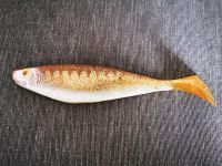 Renosky Shad Gummifisch 23 cm, Hecht, Wels, Dorsch, Heilbutt Duisburg - Neumühl Vorschau