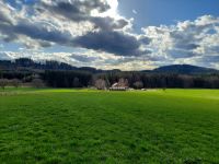 Urlaub im Allgäu in der Natur, Ferienwohnung auf dem Eselhof Bayern - Bad Grönenbach Vorschau