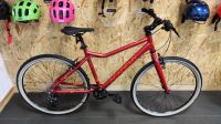 26" Academy Grade 6, Alu Jugendfahrrad, rot. nur 9,0 kg! Friedrichshain-Kreuzberg - Friedrichshain Vorschau