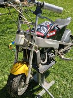 Pocketbike Bastler Motorrad Bayern - Türkheim Vorschau