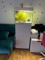 Aquarium mit Schrank und Zubehör Niedersachsen - Langenhagen Vorschau