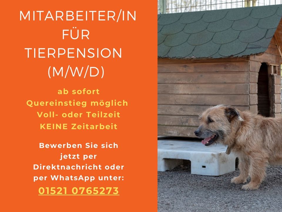 Mitarbeiter/in für Tierpension gesucht (m/w/d) in Berlin