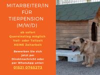 Mitarbeiter/in für Tierpension gesucht (m/w/d) Berlin - Hellersdorf Vorschau