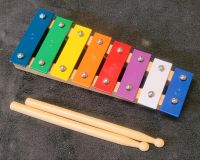 Kinder Glockenspiel Musikinstrument Nordrhein-Westfalen - Alfter Vorschau