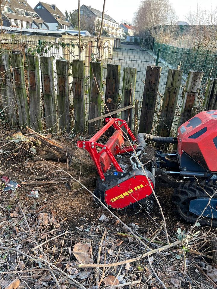 Seppi MAX 50le Mähraupe mit Forstmulcher zur Miete in Hattingen