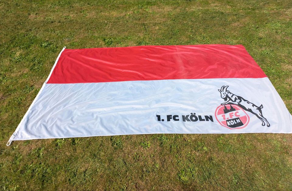 1. FC Köln Flagge in Arnsberg