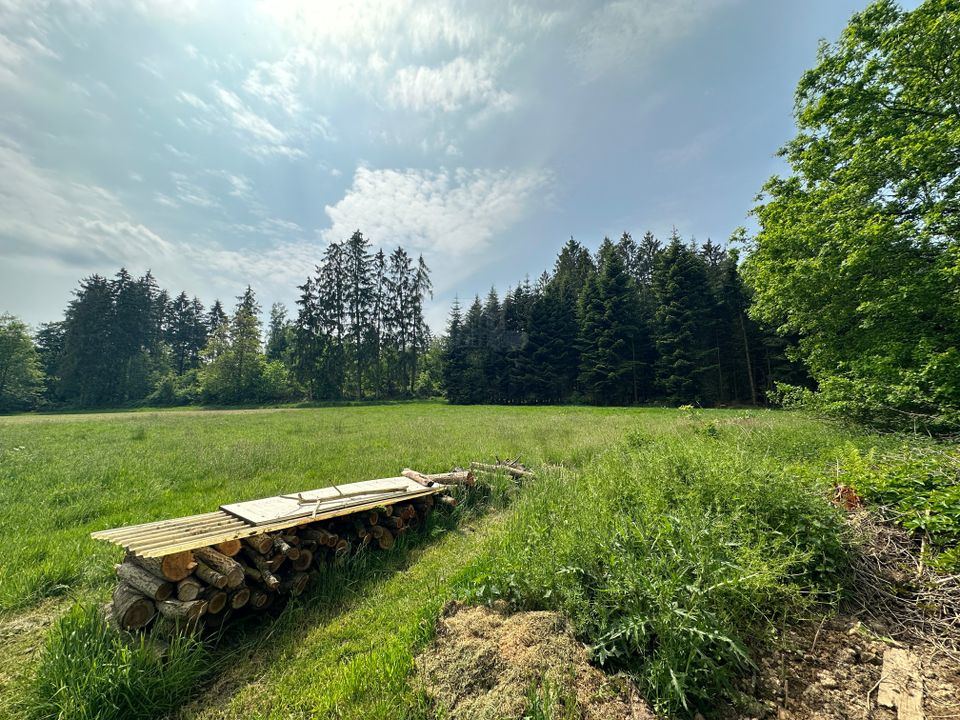 RUDNICK bietet TRAUM für TIER-/, Garten- und Ruheliebhaber: Haus mit 2 Wohnungen auf 3.700 qm Grd. in Rinteln