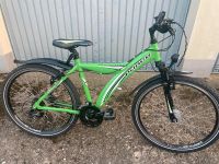 Alu mountainbike Fahrrad 26 Zoll 21 Gang Nabendynamo Dortmund - Hörde Vorschau