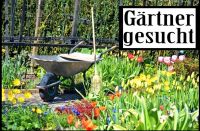 Gärtner / Florist für Grabpflege GESUCHT Niedersachsen - Lehre Vorschau