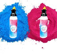 XXL Gender Reveal, Babyshower, Babyparty, Feuerlöscher 250 ml Nordrhein-Westfalen - Troisdorf Vorschau