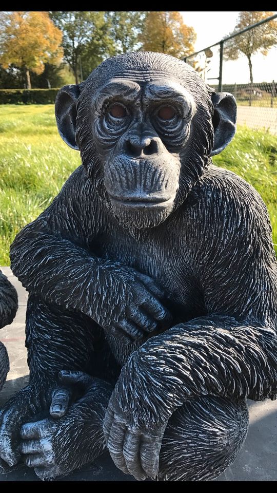 ‼️Schimpanse 52cm Chita Bonobo Steinguss Affe Affen Menschenaffe in Mönchengladbach