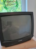 Sharp Fernseher 55cm Diagonale Rheinland-Pfalz - Pittenbach Vorschau