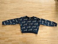 Gepard Pulli Raubkatzen Sweater H&M 146 / 152 Hannover - Vahrenwald-List Vorschau