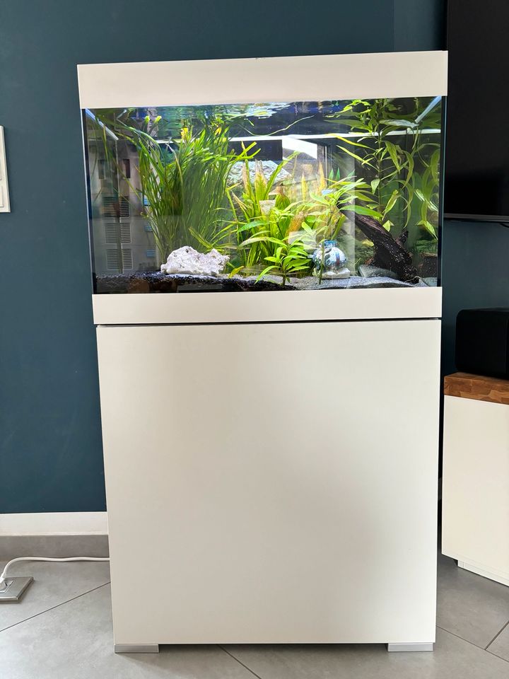 Aquarium Oase 125L Komplettset in Rheine