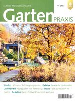 ❈ Garten Praxis 11 - 2022 Gehölze Stauden Schnitt Gestaltung Schleswig-Holstein - Schleswig Vorschau