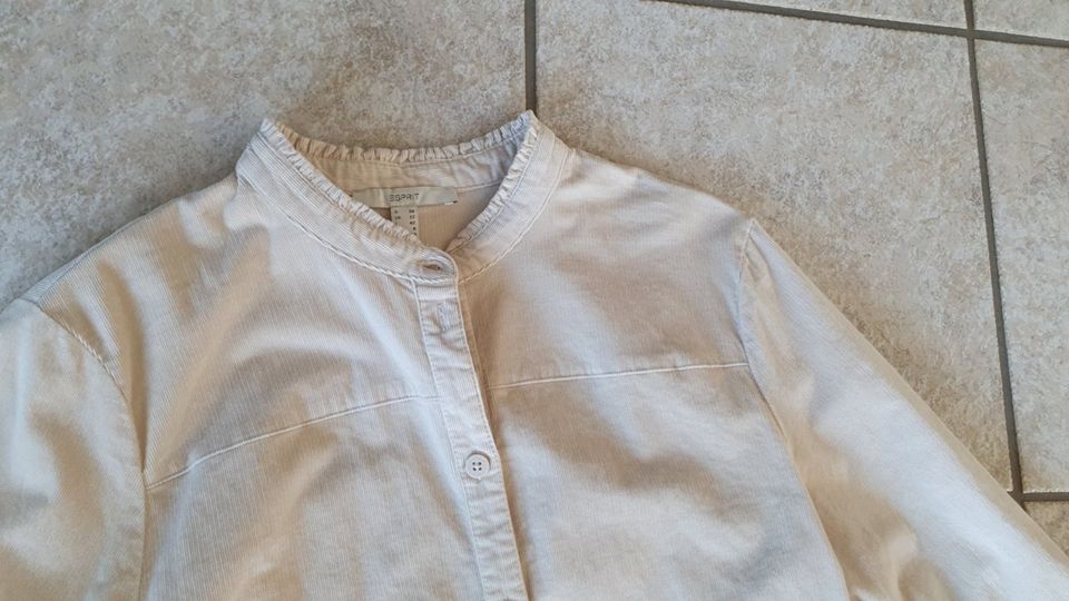 ESPRIT Damen Bluse Tunika Cord Gr. 38 Baumwolle NEU* in Dachsenhausen