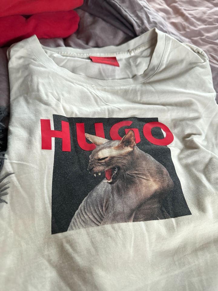 Hugo Boss t-Shirt in Aschaffenburg