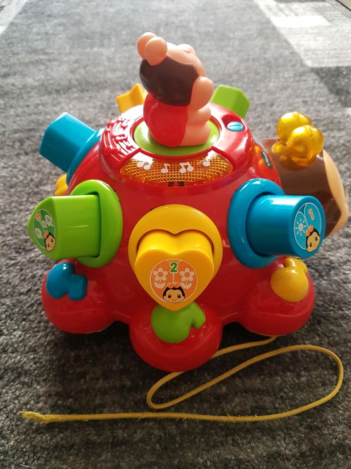 VTech Bunter Lernkäfer in Garbsen