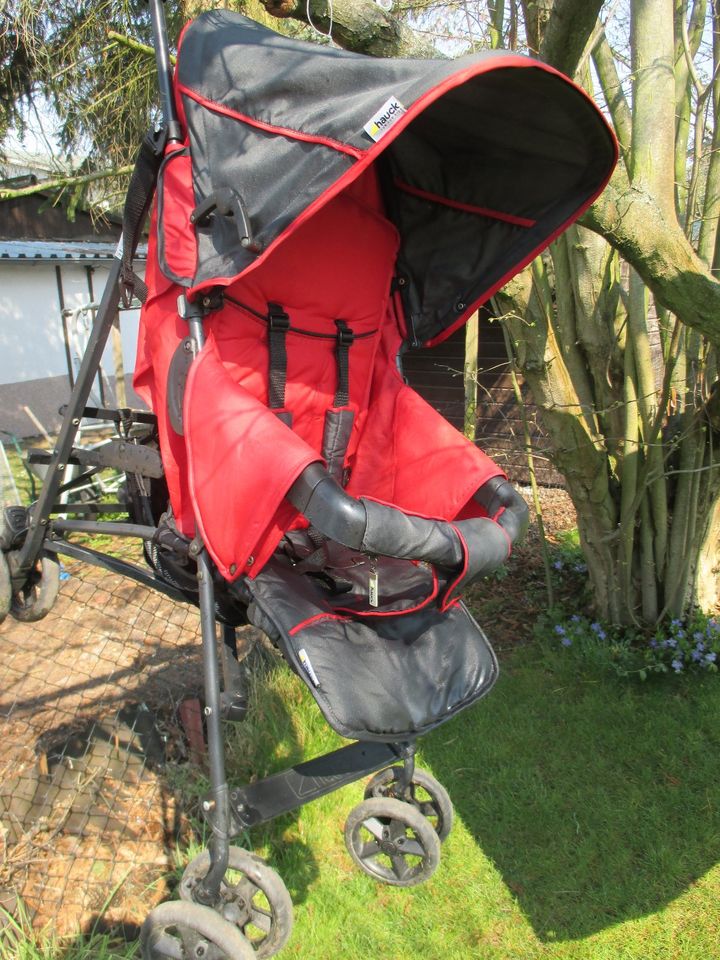 Hauck Buggy mit Liegefunktion in Teltow