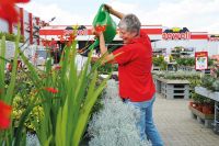 Jawoll sucht Mitarbeiter (m/w/d) Pflanzen&Garten in Wildeck! Hessen - Wildeck Vorschau
