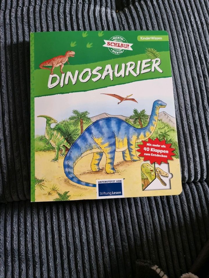 Dinosaurier Buch in Andernach