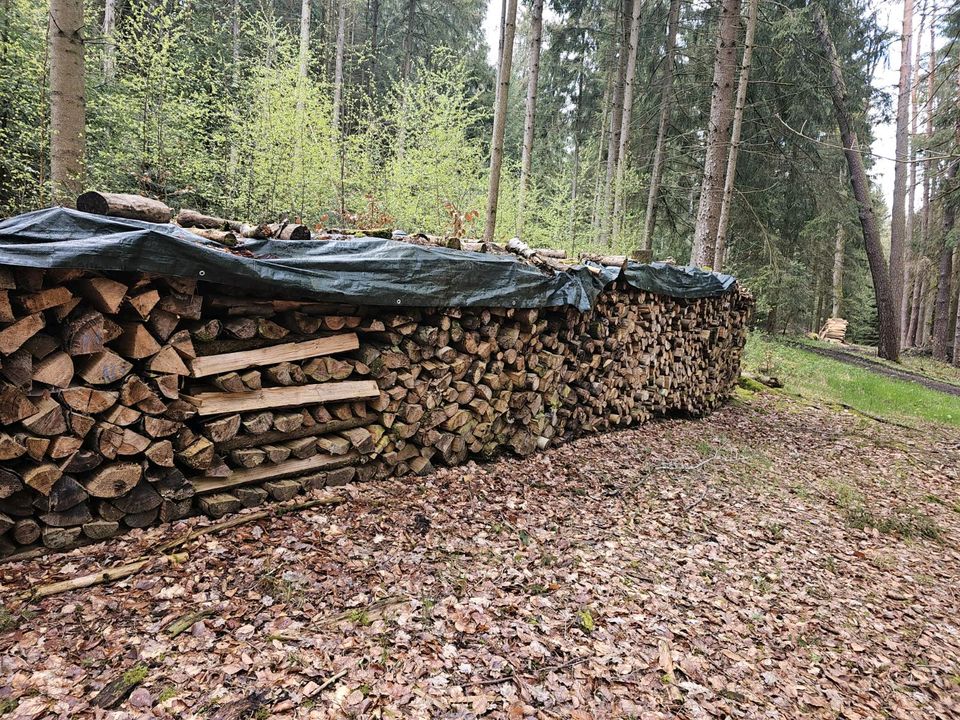 Holz Kiefer und Fichte in Berg bei Neumarkt i.d.Opf.