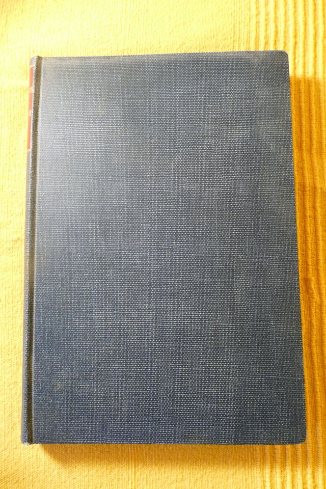 Hindenburg Biografie von 1915 plus Zugabe in Berlin