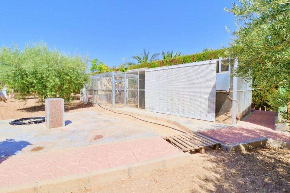 Landhaus in Elche / Matola (Alicante) mit 3 Schlafzimmern, Pool, Sommerküche und Garage, nur 25 Minuten vom Stand, Costa Blanca / Spanien in Oyten