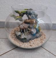 Deko Aquarium aus Glas Sachsen-Anhalt - Tangerhütte Vorschau