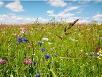 Grundstücke Gesucht Hessen - Fernwald Vorschau