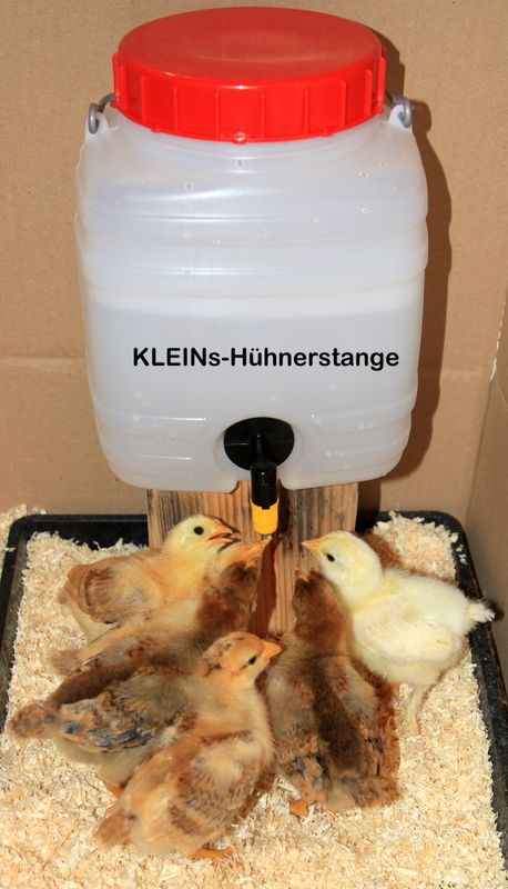 Set Futterspender + Nippeltränke Kükenauzucht Hühner Stall Küken in Göcklingen