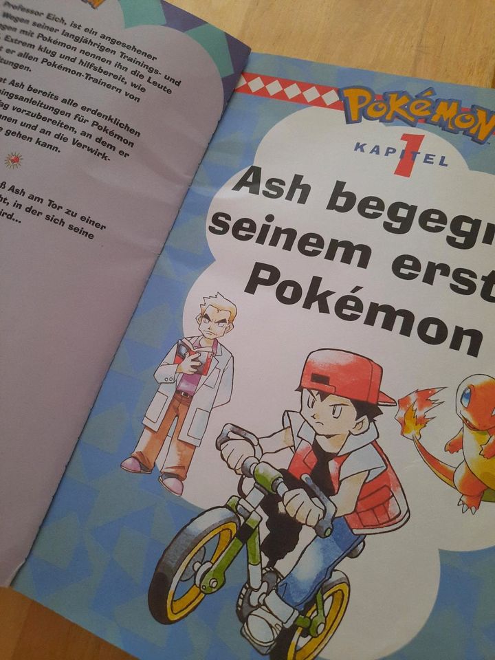 Buch Pokemon Schnapp sie dir alle 1999 in Kaltenkirchen