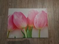 Bild, Tulpen, Rosa, Pink, Wohnzimmer, Küche, Bad Nordrhein-Westfalen - Kevelaer Vorschau