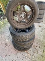 4x FALKEN Winterreifen M+S reifen 205/55R16 91H Nordrhein-Westfalen - Waltrop Vorschau